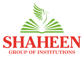 Shaheen Academy